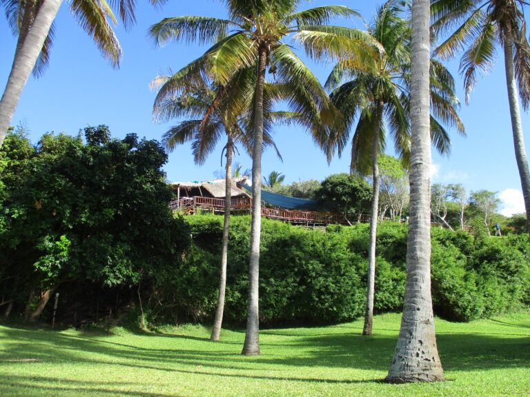 Mozambique01