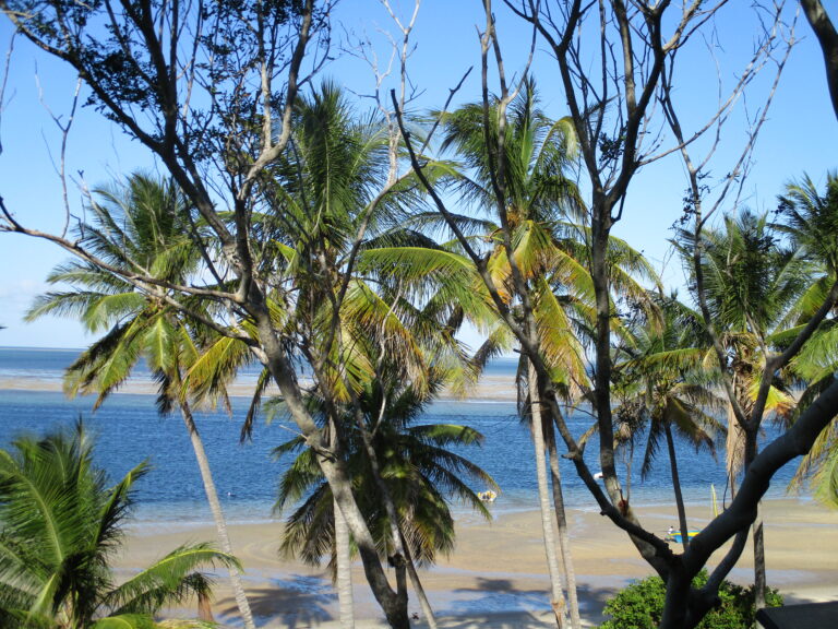 Mozambique03